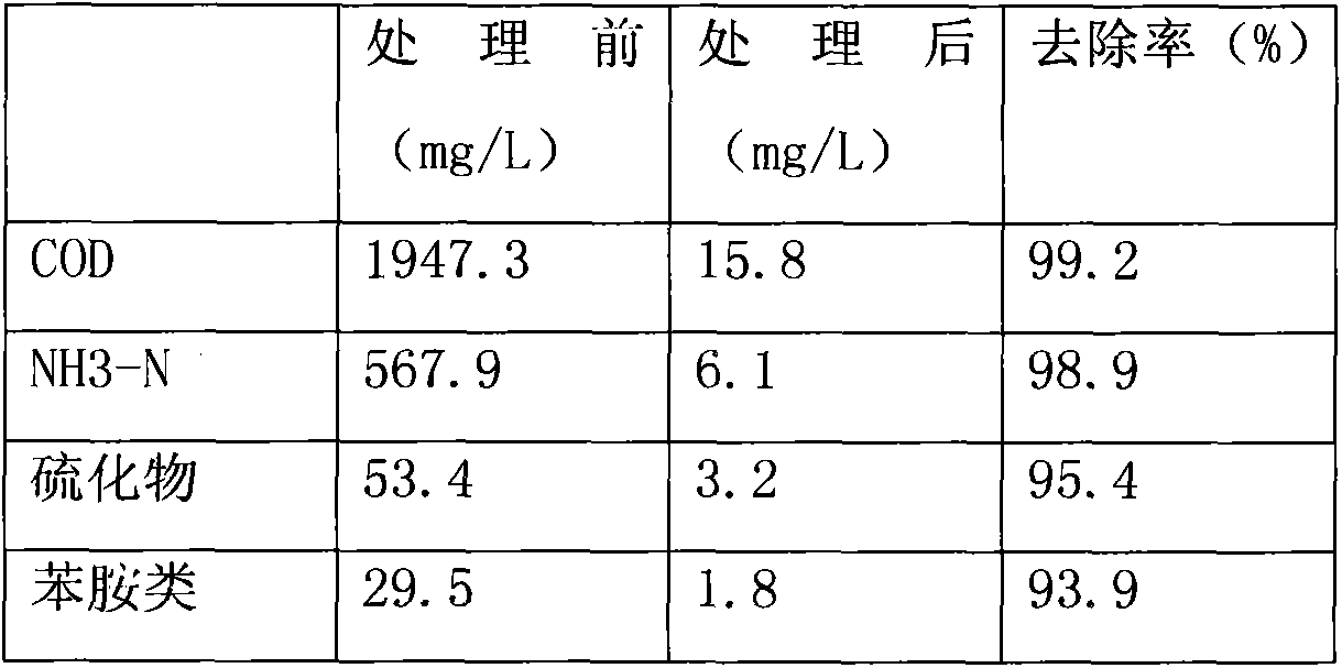 A kind of biological preparation for treating ammonia nitrogen sewage and its preparation method