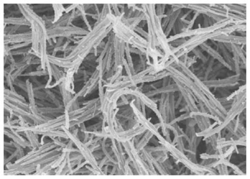 Flexible porous polypyrrole film, preparation method and application of flexible porous polypyrrole film as electrode