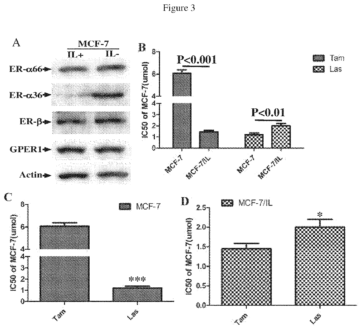 Lasofoxifene modulation of membrane-initiated estrogen signals and methods for tumor treatment