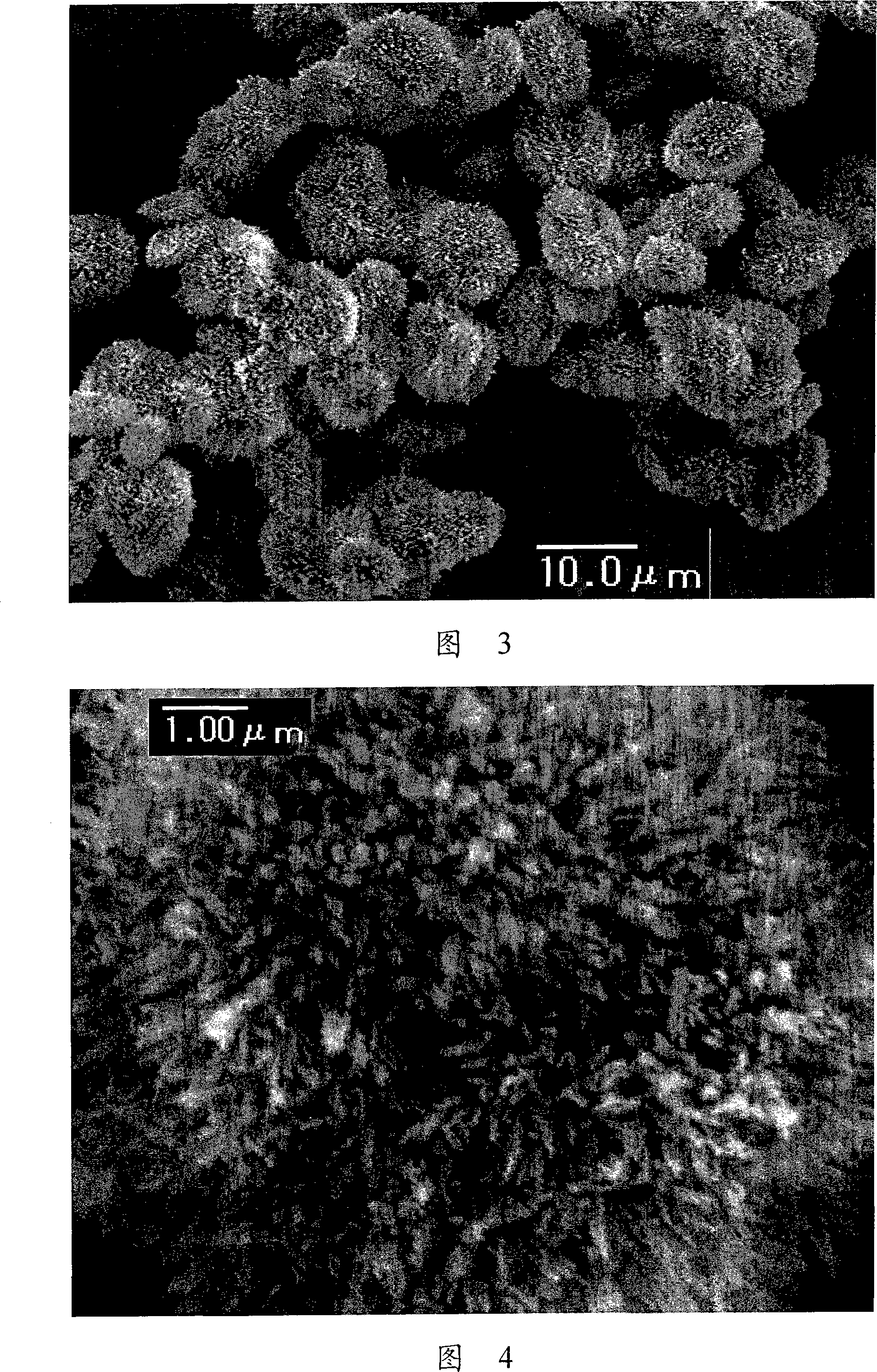 Minute particle with needlelike surface and its manufacturing method