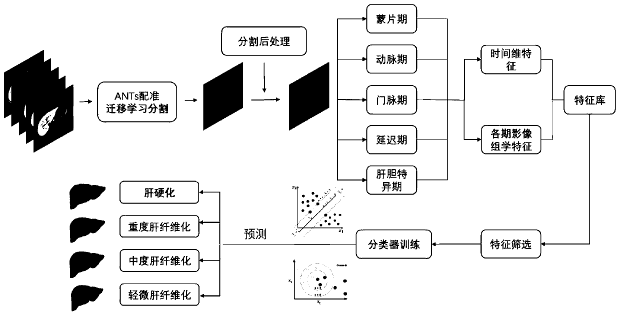 MRI image liver fibrosis automatic grading method based on imaging omics analysis