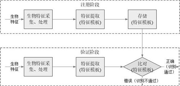 Biological characteristic password desensitization protection method based on SM9 algorithm