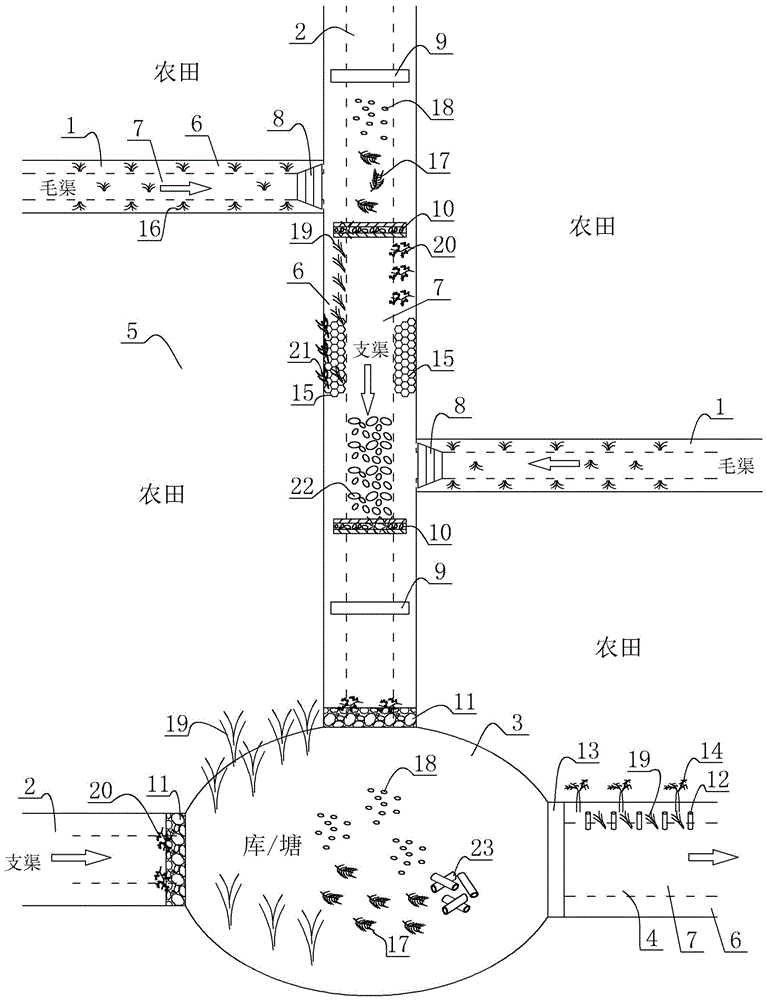 Ecological ditch system for farmland return water pollution prevention and control and construction method