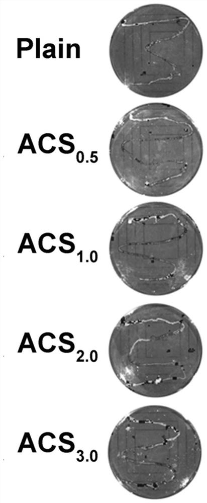 Colon-targeted oral probiotic microcapsule and preparation method and application thereof