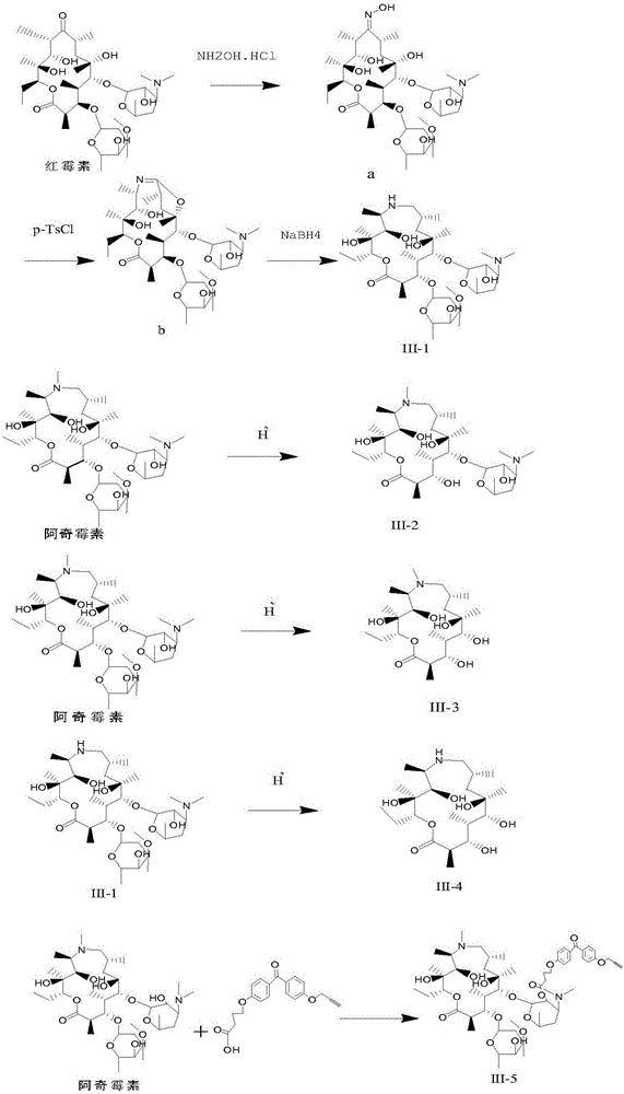 Macrolide derivative and application thereof