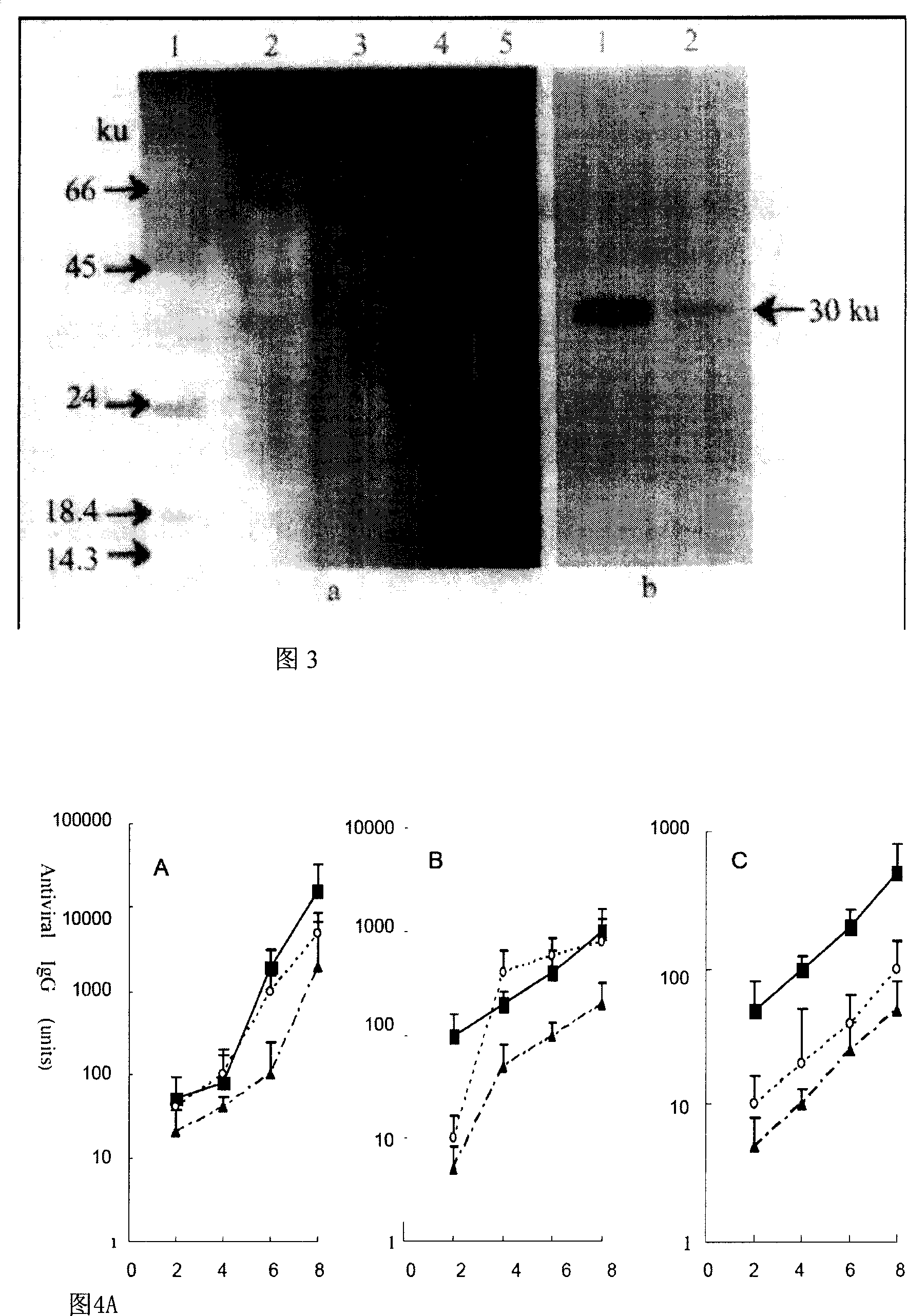 O-type foot-and-mouth disease virus multi-epitope mucous membrane immunization vaccine and use