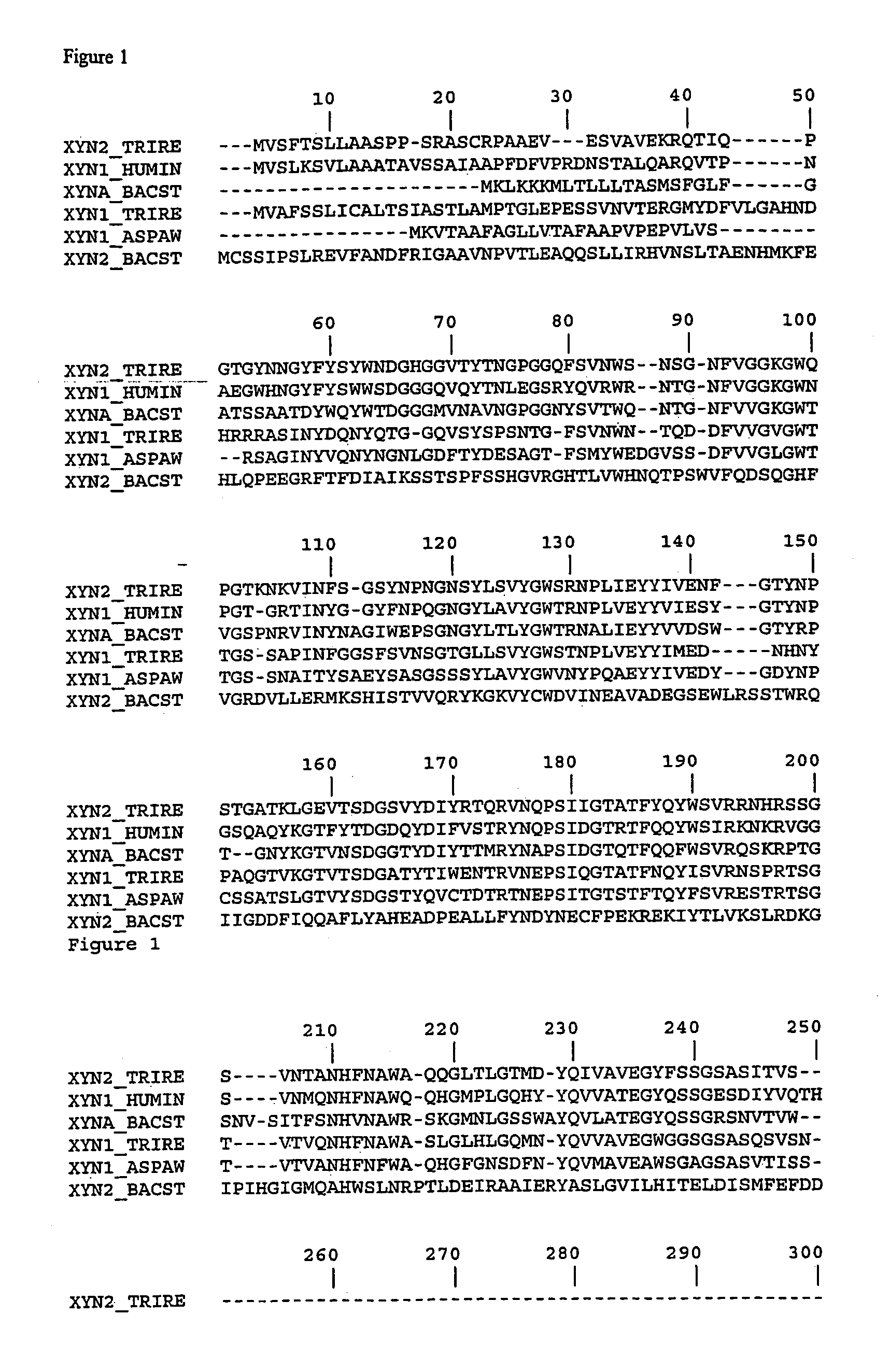 Modified enzymes, methods to produce modified enzymes and use thereof