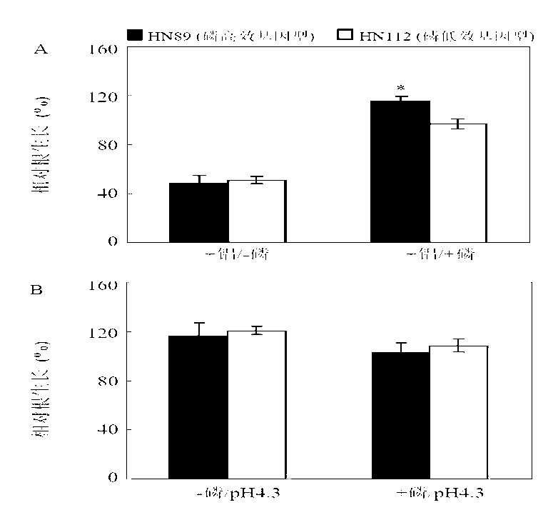 Malic acid transporter gene GmALMT1 and application thereof