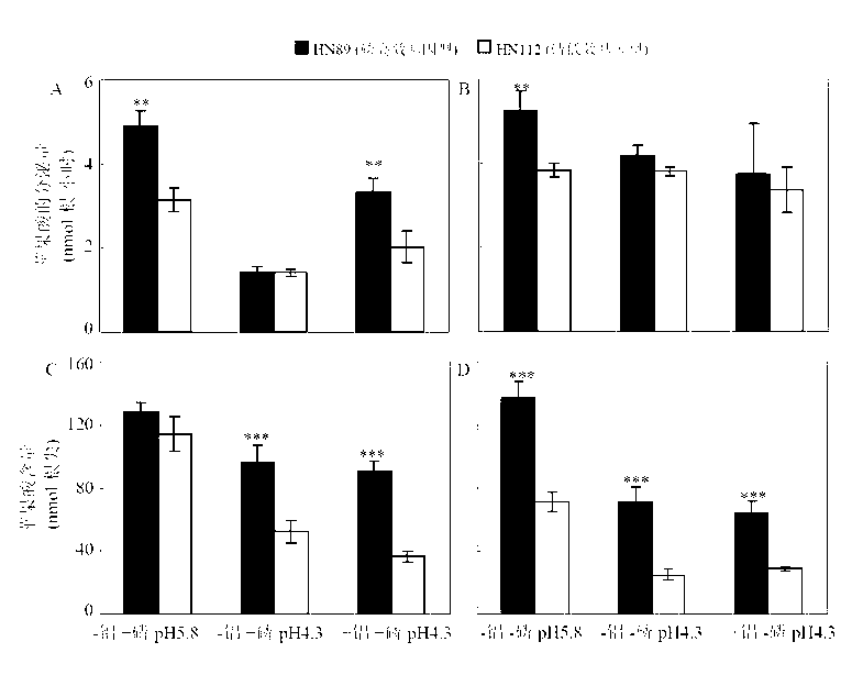 Malic acid transporter gene GmALMT1 and application thereof