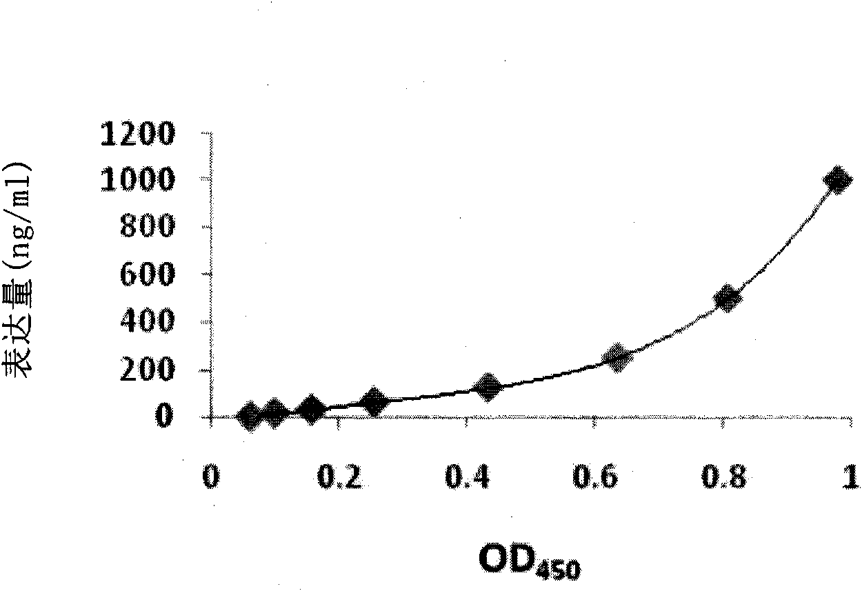 Method for expressing and producing recombinant human blood coagulation factors VII in animal cells