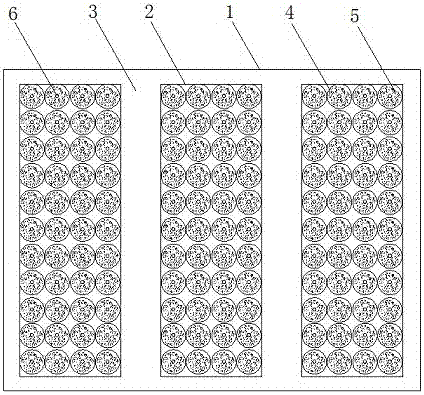 Seedling raising and afforestation method of fast-growing robinia pseudoacacia