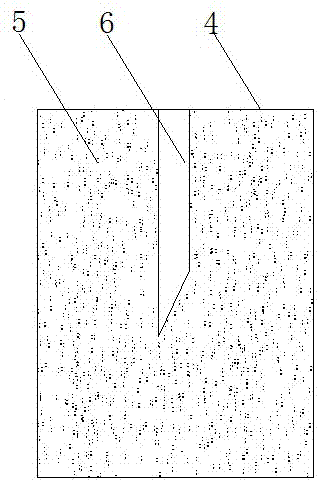 Seedling raising and afforestation method of fast-growing robinia pseudoacacia