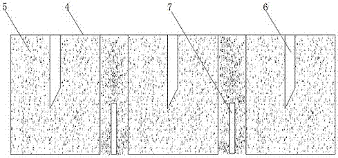 Seedling raising and afforestation method of fast-growing robinia pseudoacacia