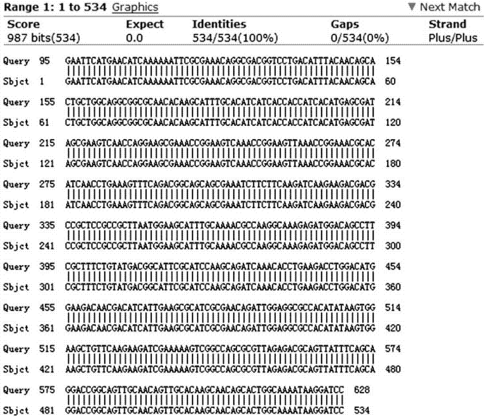 Method for expressing cecropin AD by virtue of bacillus subtilis and preparation method of cecropin AD