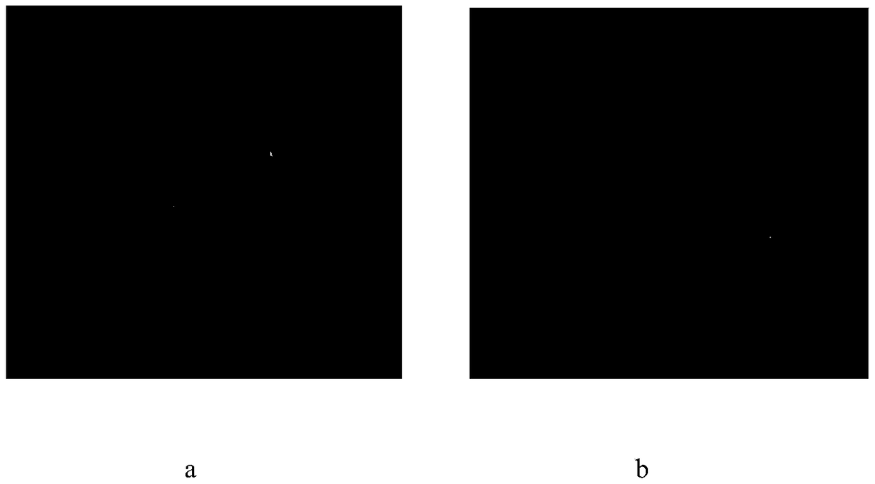 Doxorubicin and itraconazole co-loaded nanoliposomes and preparation method thereof