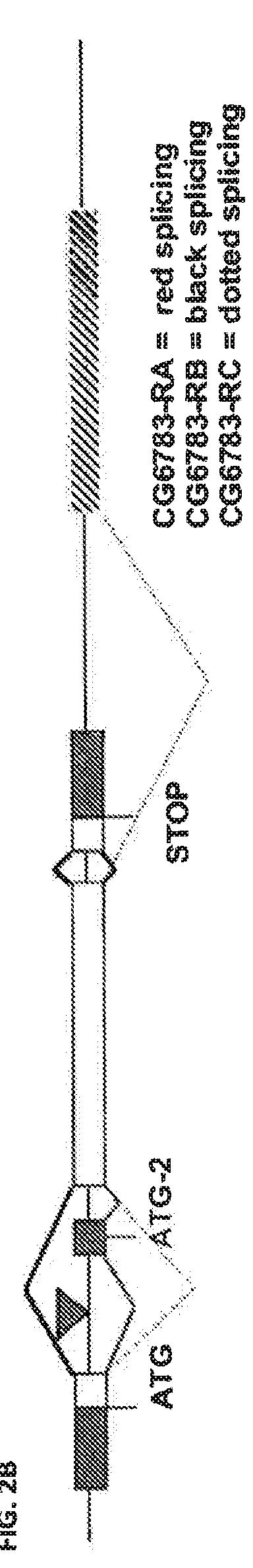 Methods and compositions for improving sleep and memory