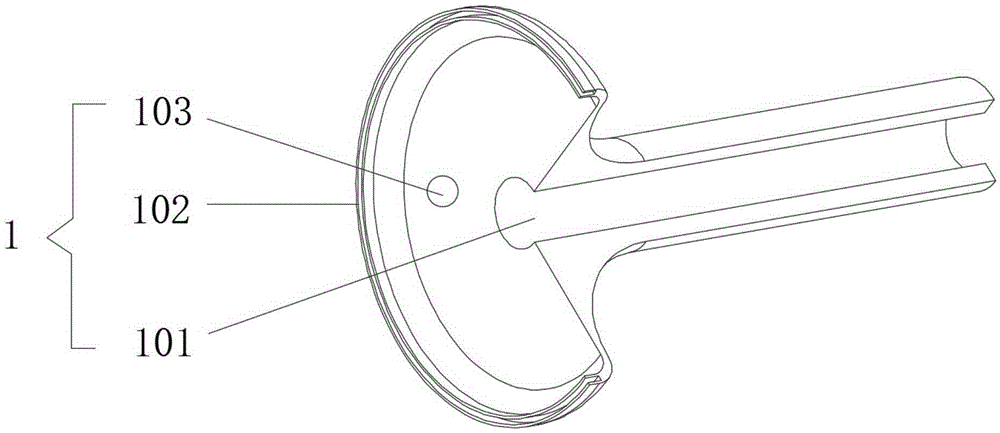 Adjustable spraying head