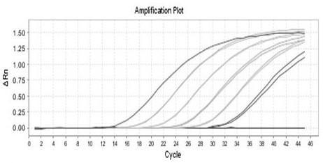 Primer, kit and detection method used for detecting insect cell DNA residues