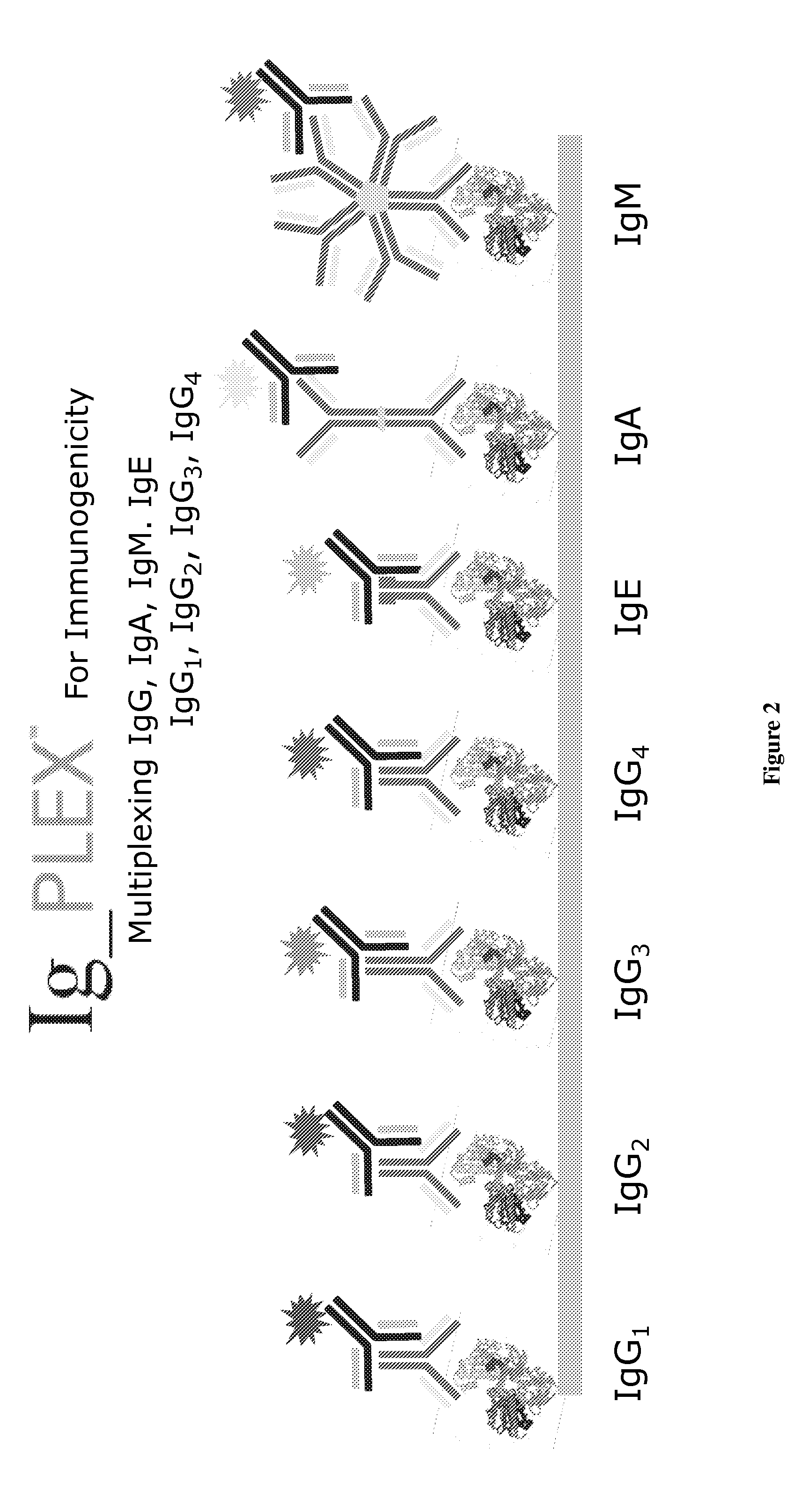 Multiplex measure of isotype antigen response