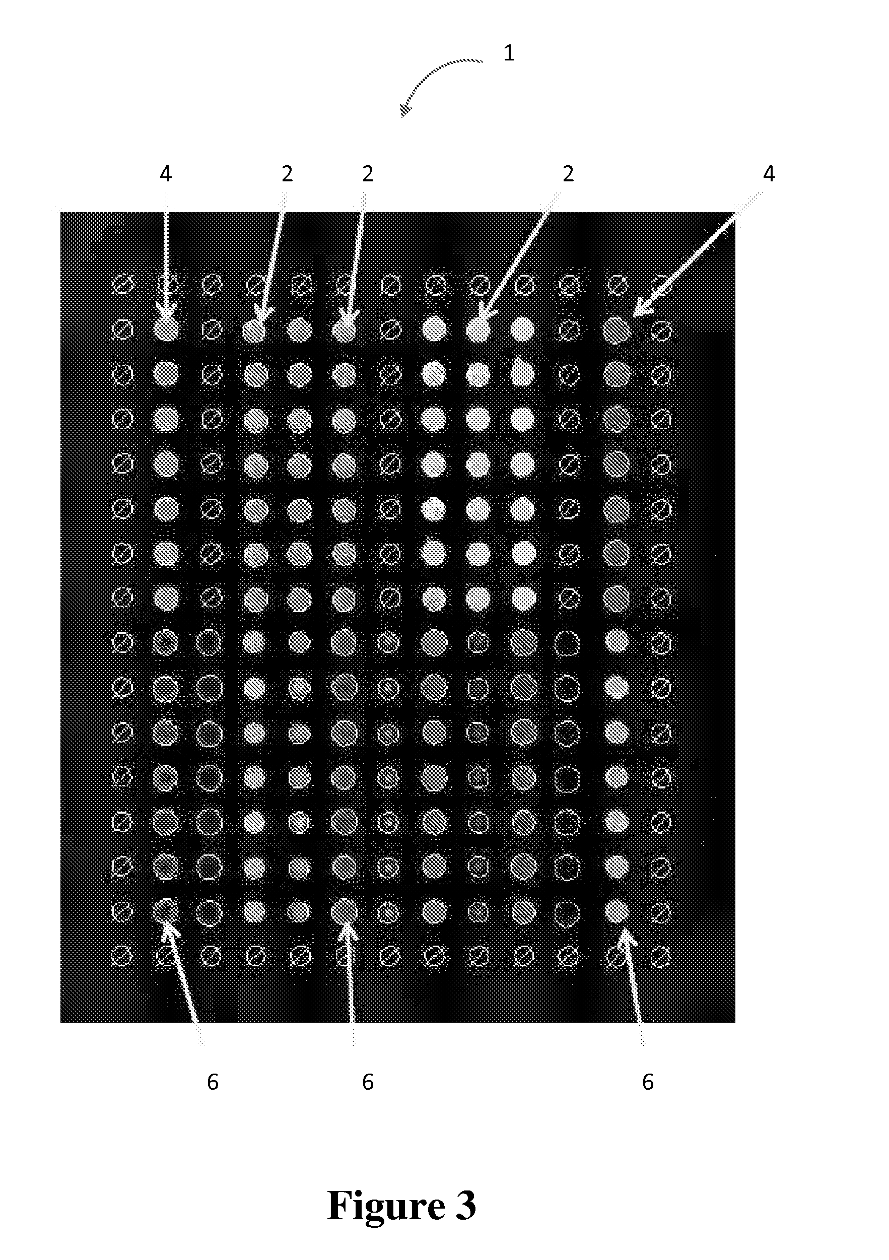 Multiplex measure of isotype antigen response