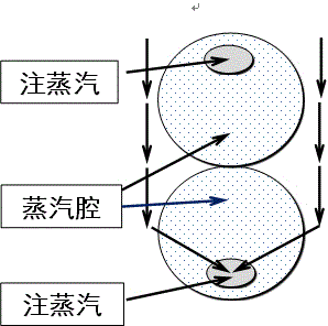 Steam-carbon dioxide assisted gravity oil drainage oil production method