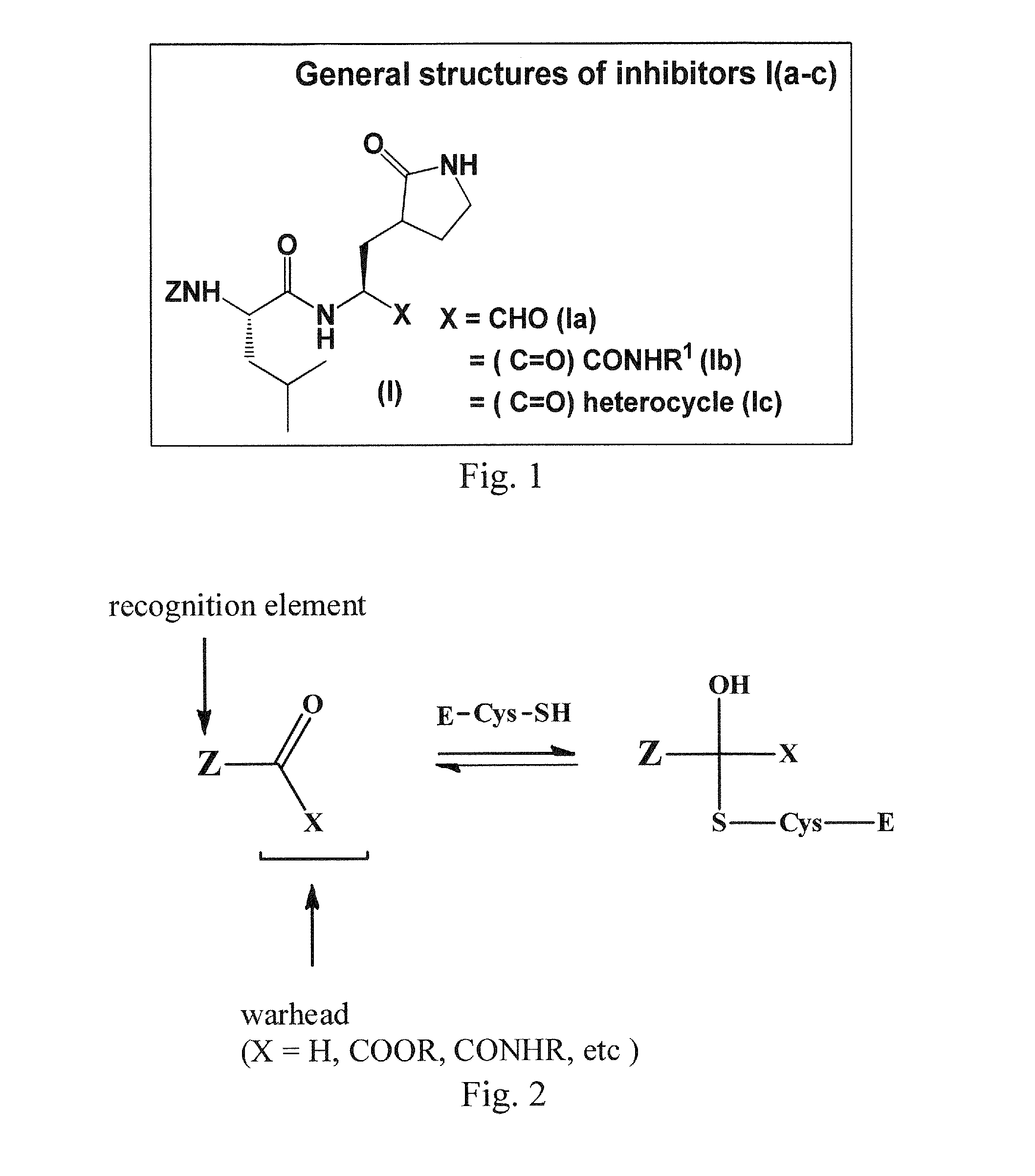 Macrocyclic and peptidomimetic compounds as broad-spectrum antivirals against 3c or 3c-like proteases of picornaviruses, caliciviruses and coronaviruses