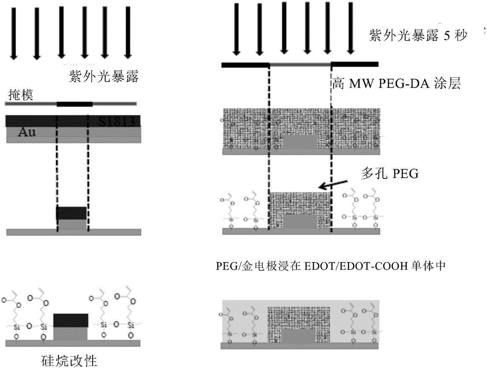 Conductive hydrogels for affinity sensing