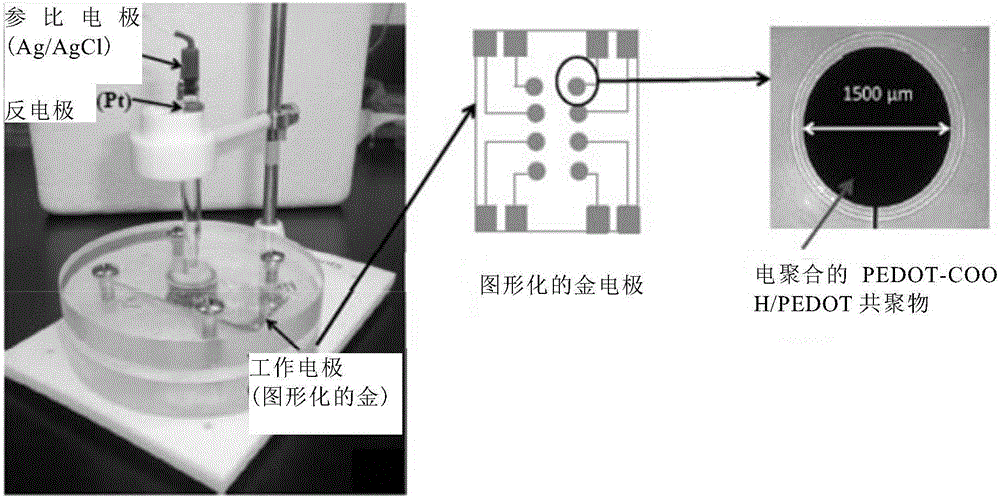 Conductive hydrogels for affinity sensing