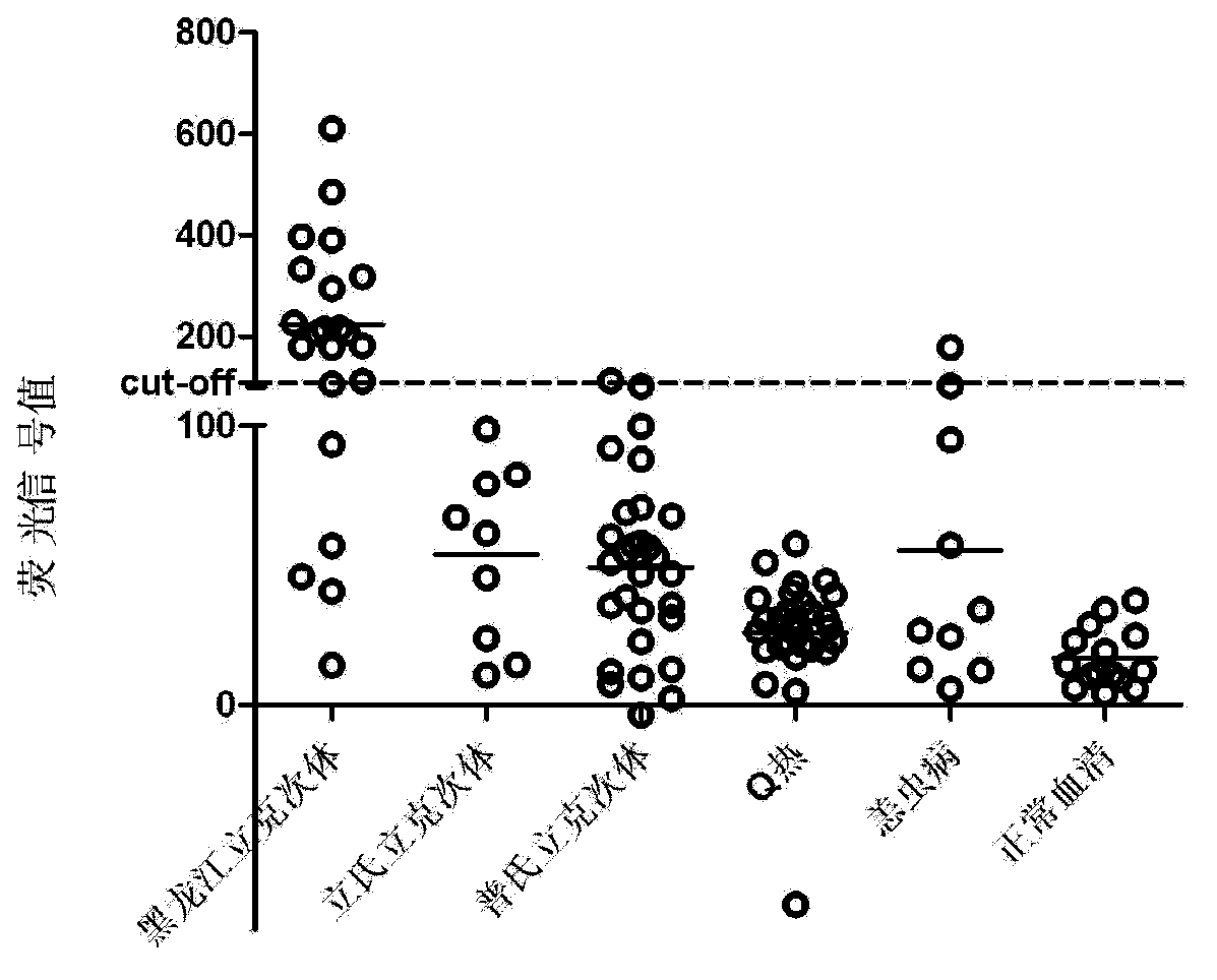 Protein composition for diagnosis or auxiliary diagnosis of far-eastern spotted fever