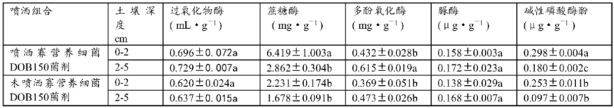 A Desert Oligotrophic Bacteria dob150 and Its Application in Sand Fixation