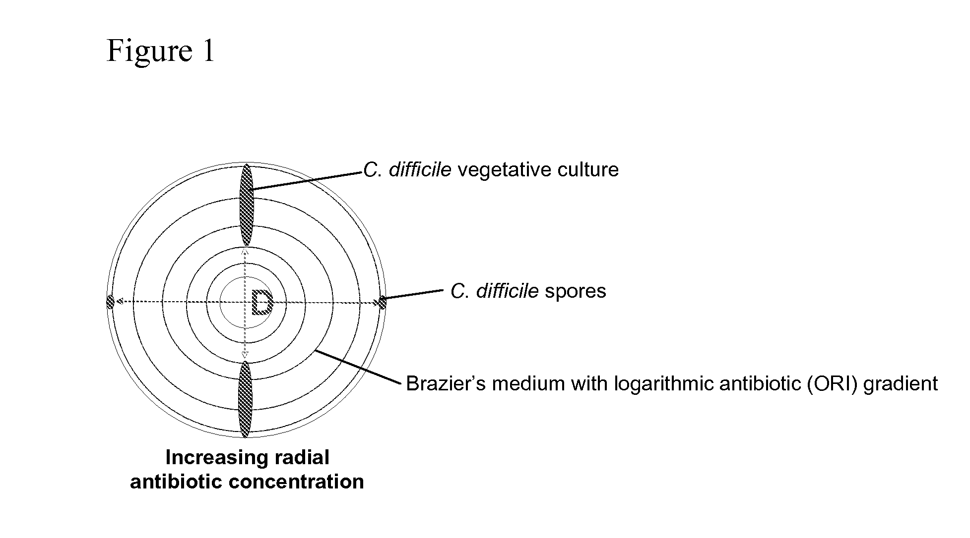 Method of inhibiting clostridium difficile by administration of oritavancin