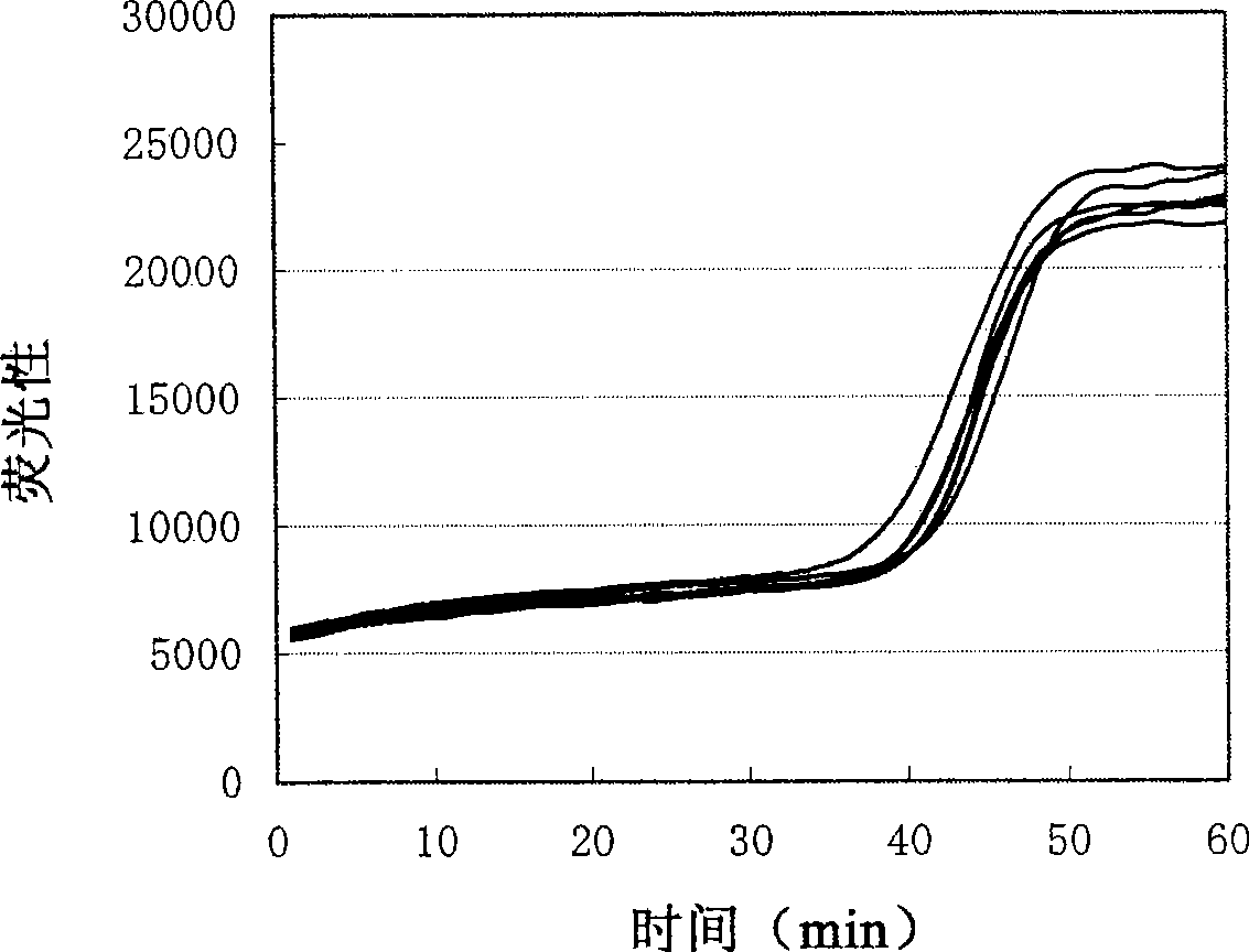 Nucleic acid amplification method