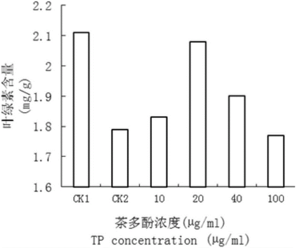 Novel tea polyphenol induction salt-tolerant application, seed soaking solution and salt-tolerant method for wheat seedlings