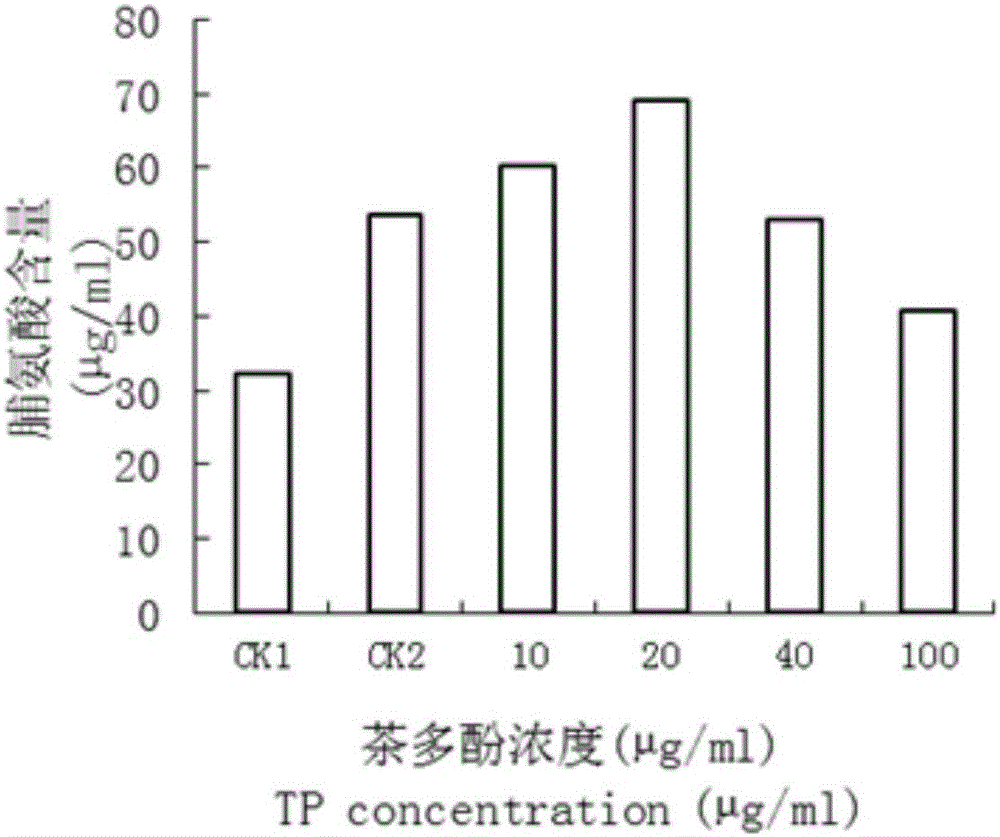 Novel tea polyphenol induction salt-tolerant application, seed soaking solution and salt-tolerant method for wheat seedlings