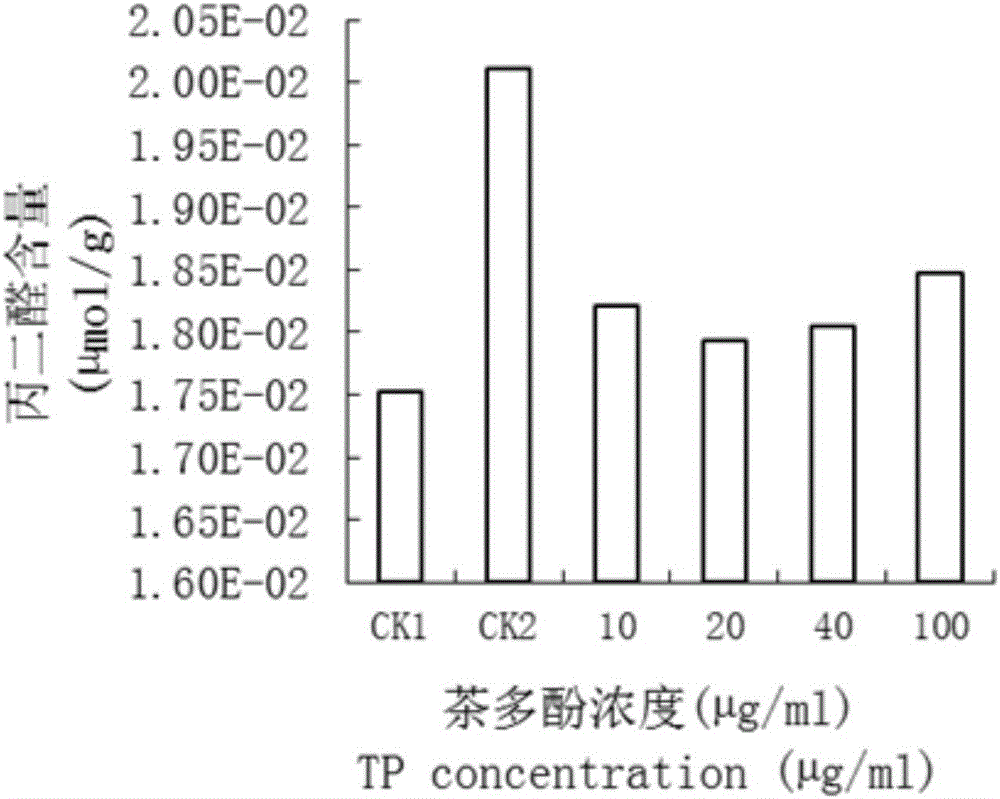 Novel tea polyphenol induction salt-tolerant application, seed soaking solution and salt-tolerant method for wheat seedlings