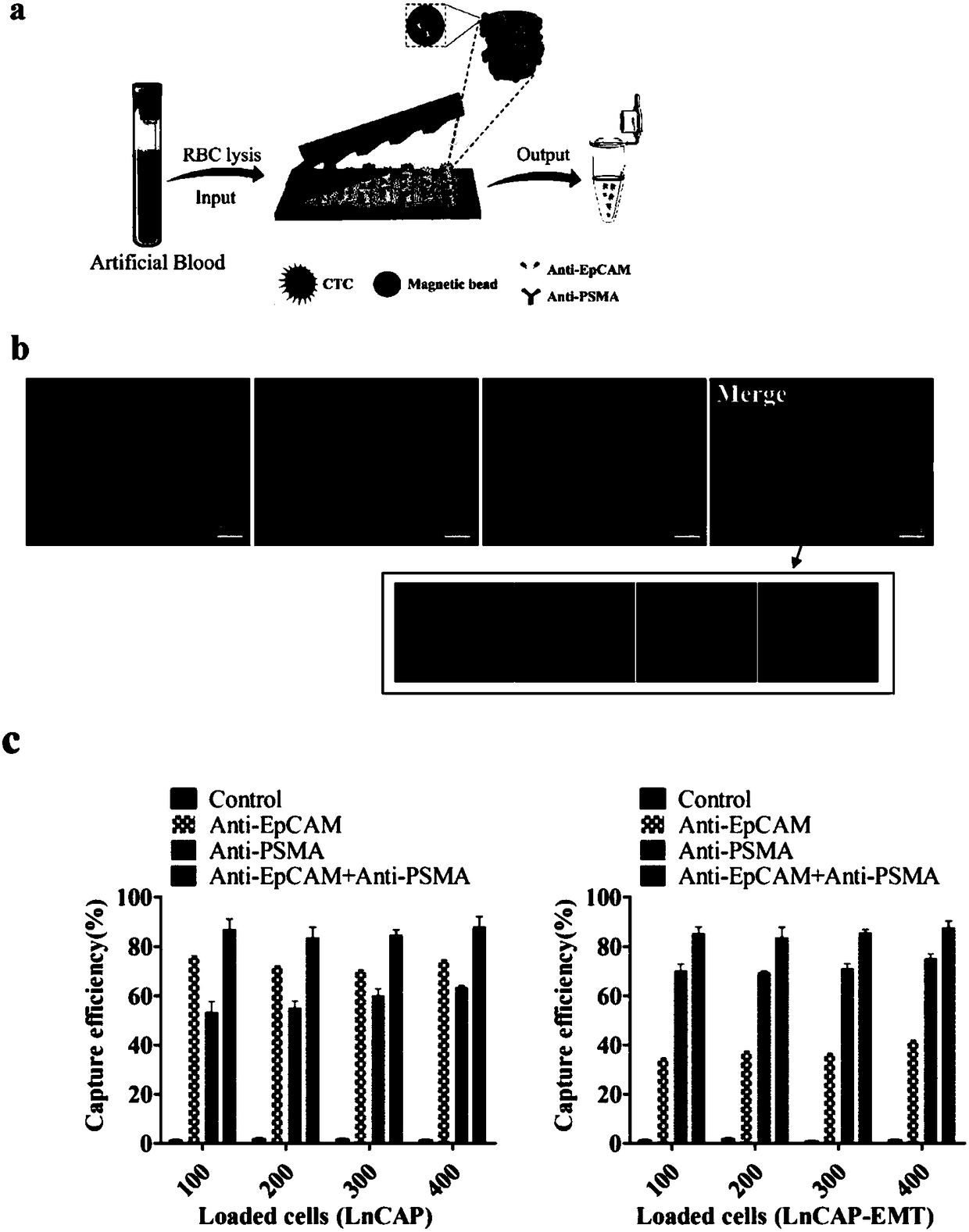 EpCAM/PSMA dual-antibody-based functionalized micro-fluidic chip as well as preparation method and application thereof