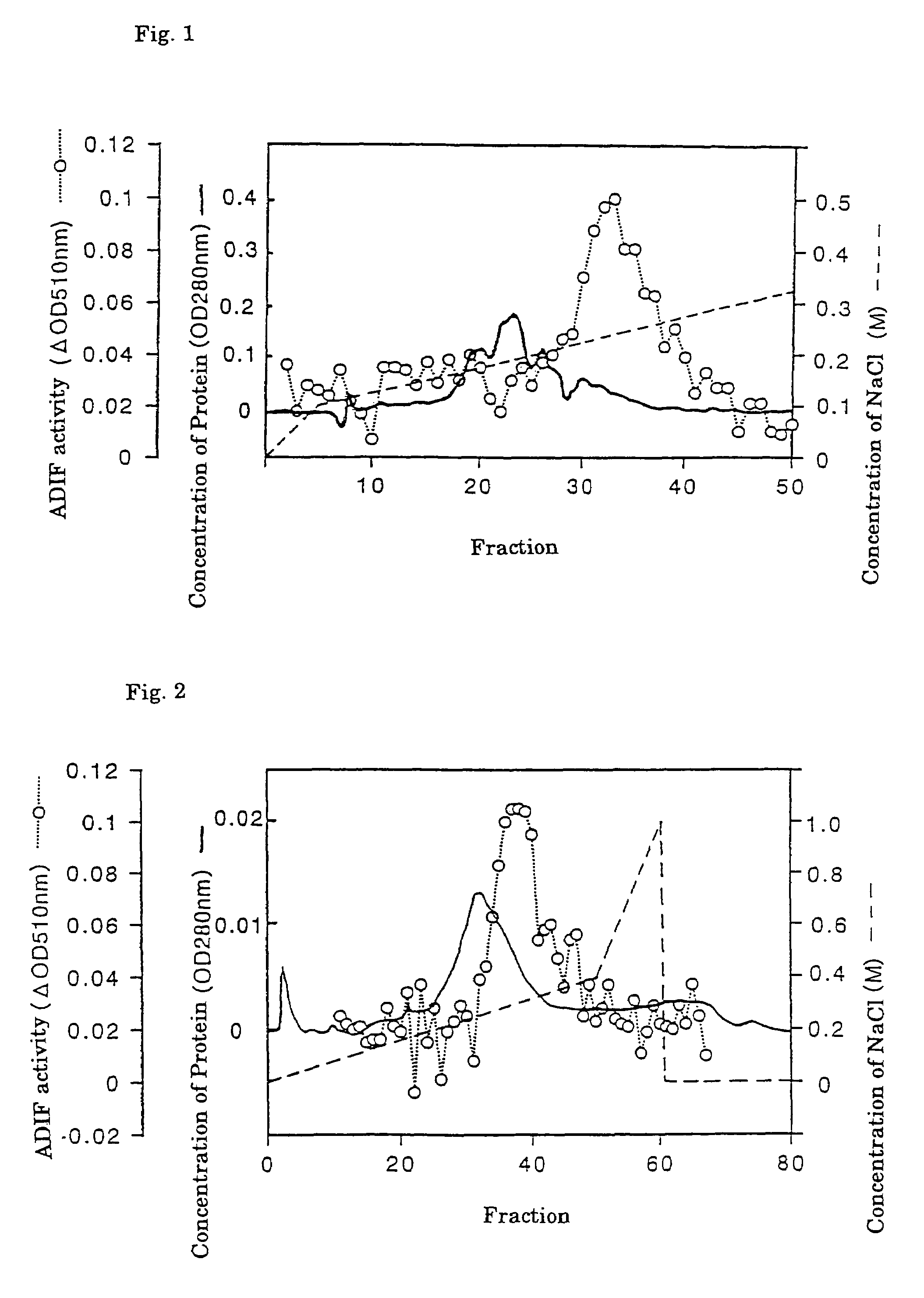 Protein and processes for producing the same