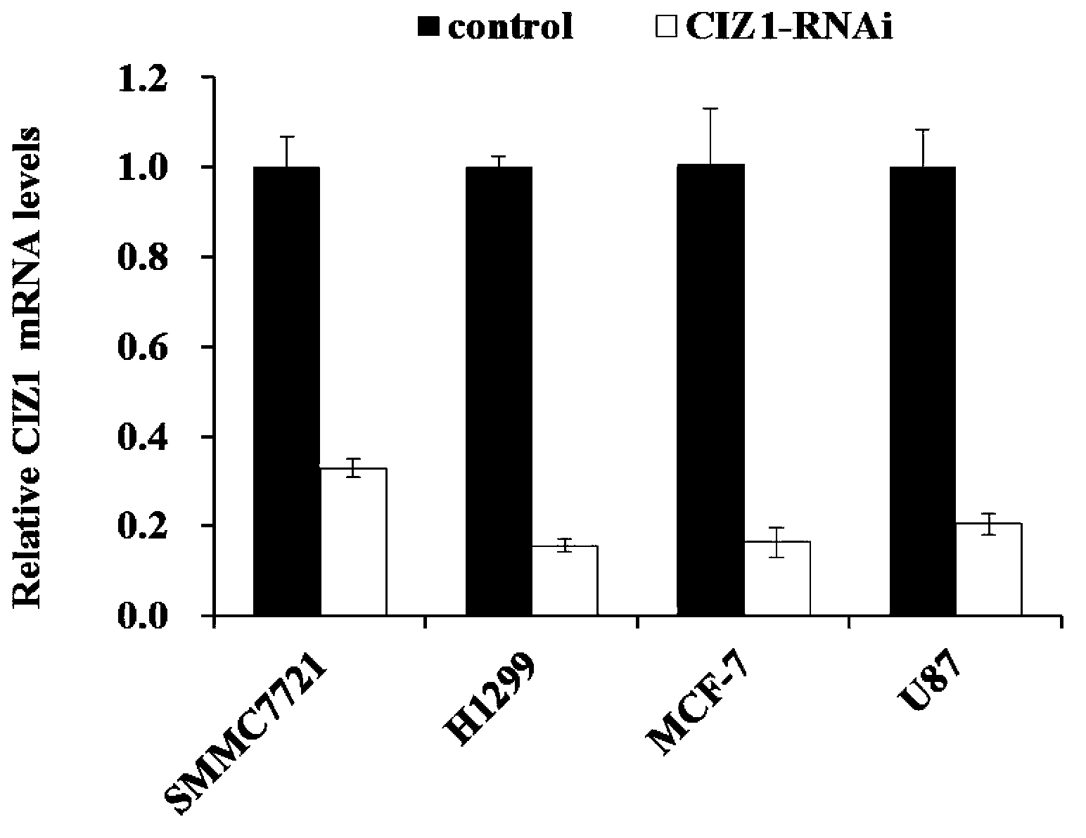 Applications of CIZI gene and relevant medicines