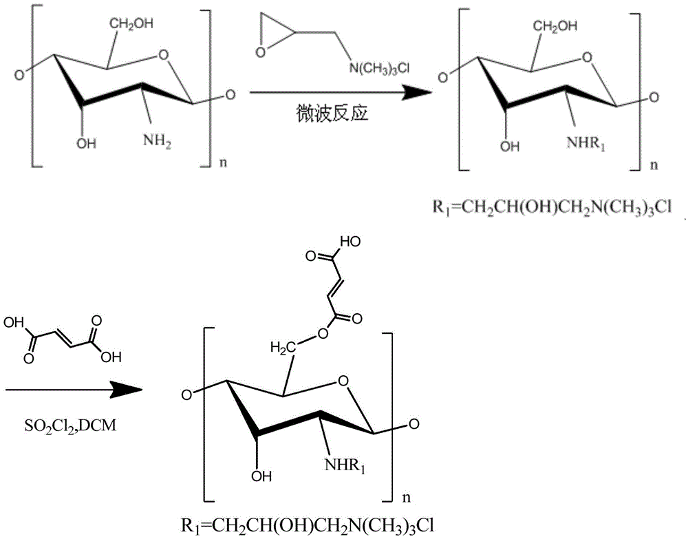 O-fumarate ester-N-chitosan quaternary ammonium salt and preparation method and application thereof