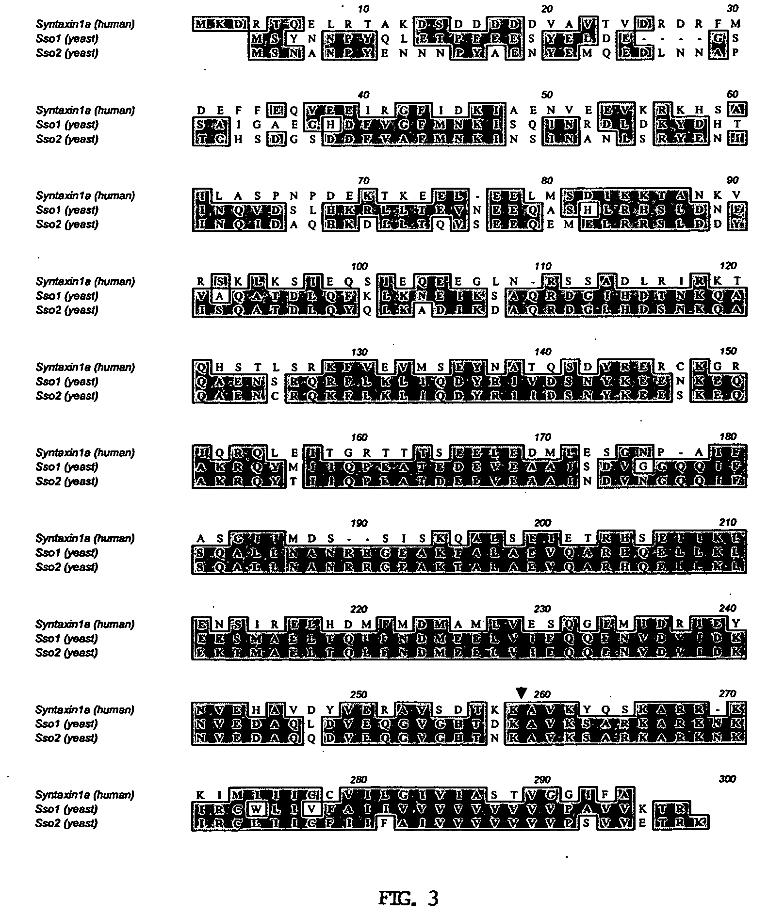 Cell-based assay for identifying peptidase inhibitors