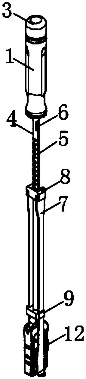 Spinal fusion cage