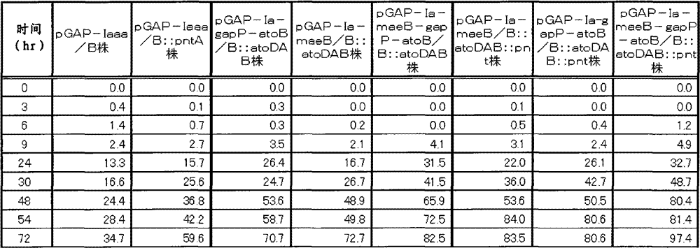 Highly productive isopropyl alcohol-producing bacterium