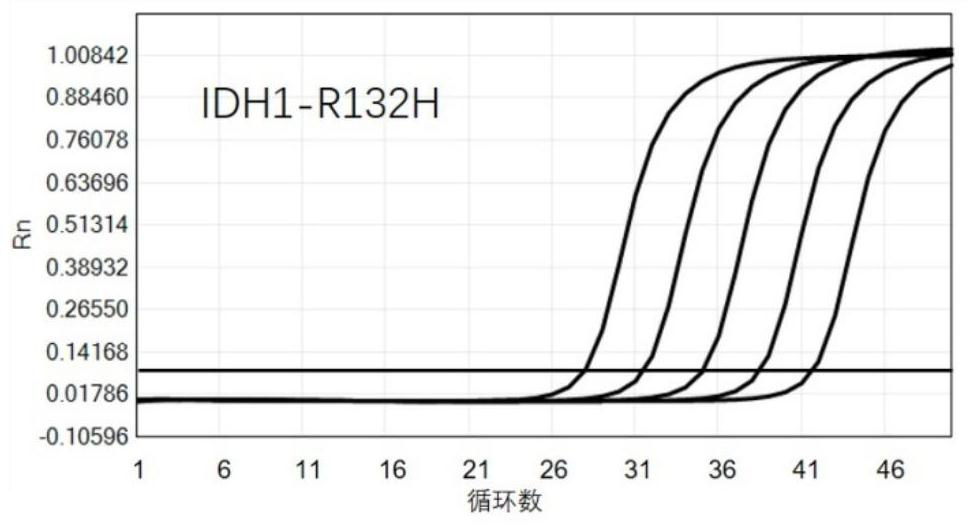 Novel method for detecting and quantifying mononucleotide variation