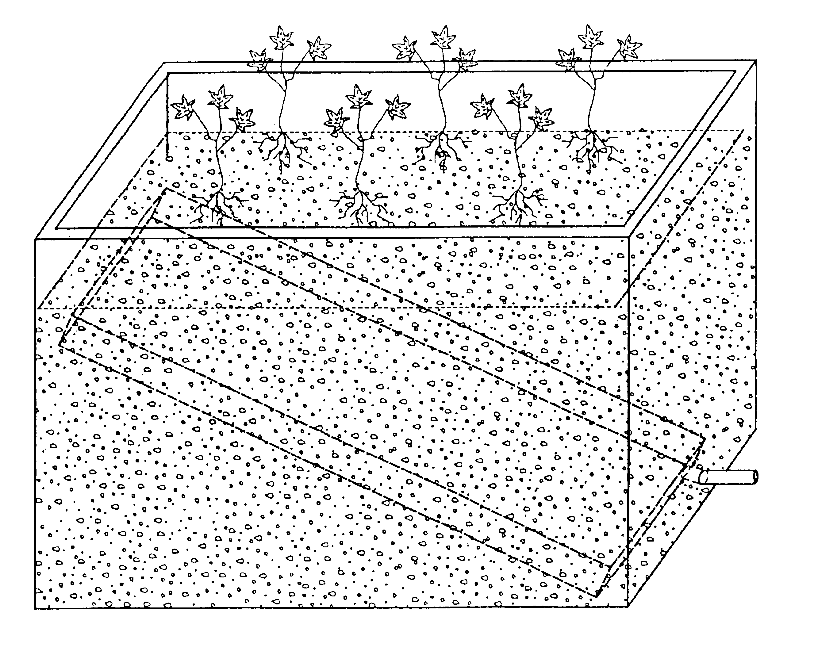 Water purification apparatus