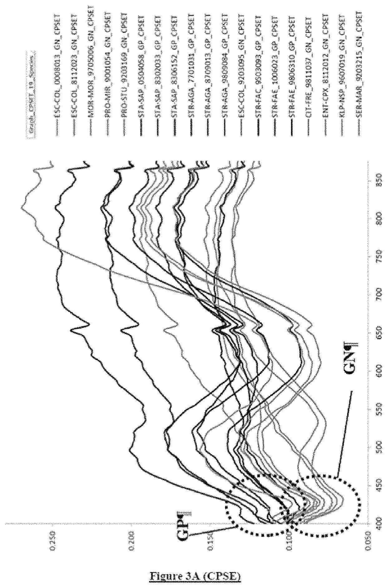 Process and system for identifying the gram type of a bacterium