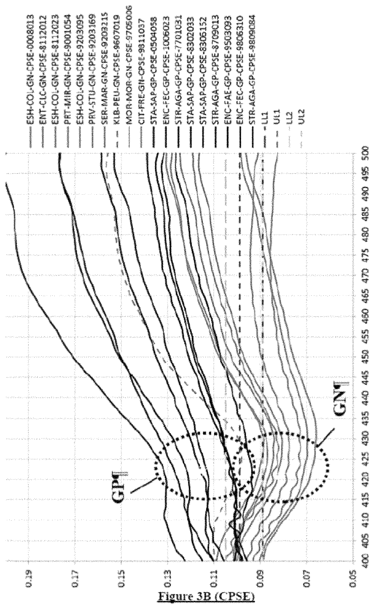 Process and system for identifying the gram type of a bacterium