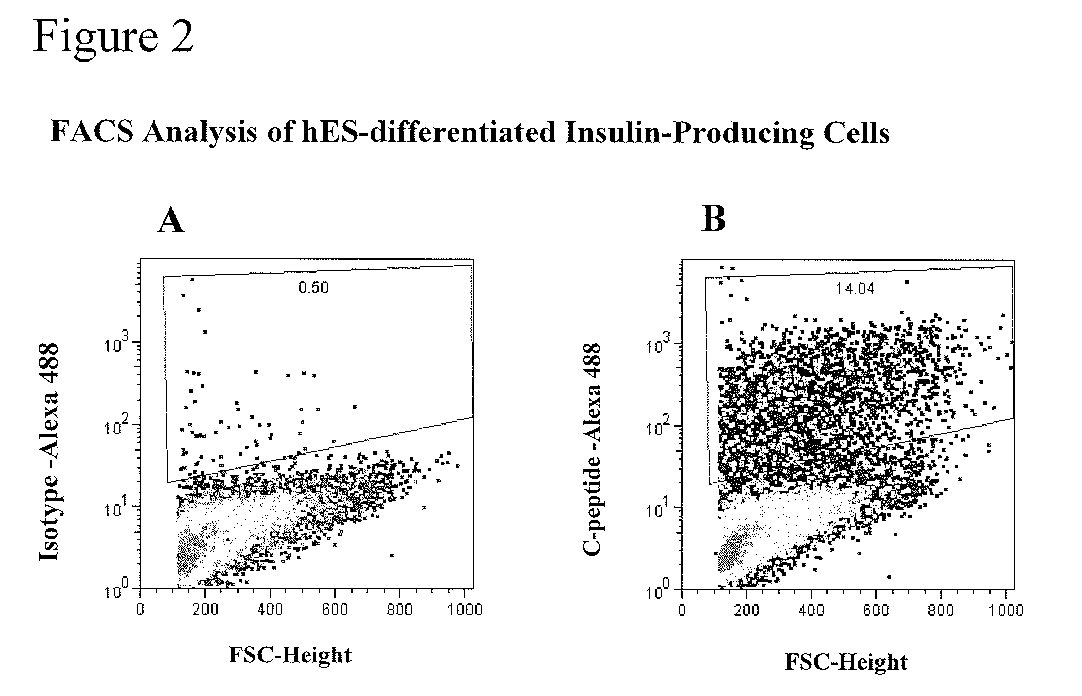 Differentiation and Enrichment of Islet-like Cells from Human Pluripotent Stem Cells