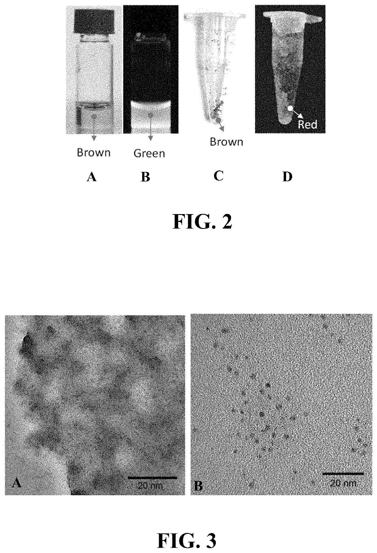 Fluorescent nanocomposite