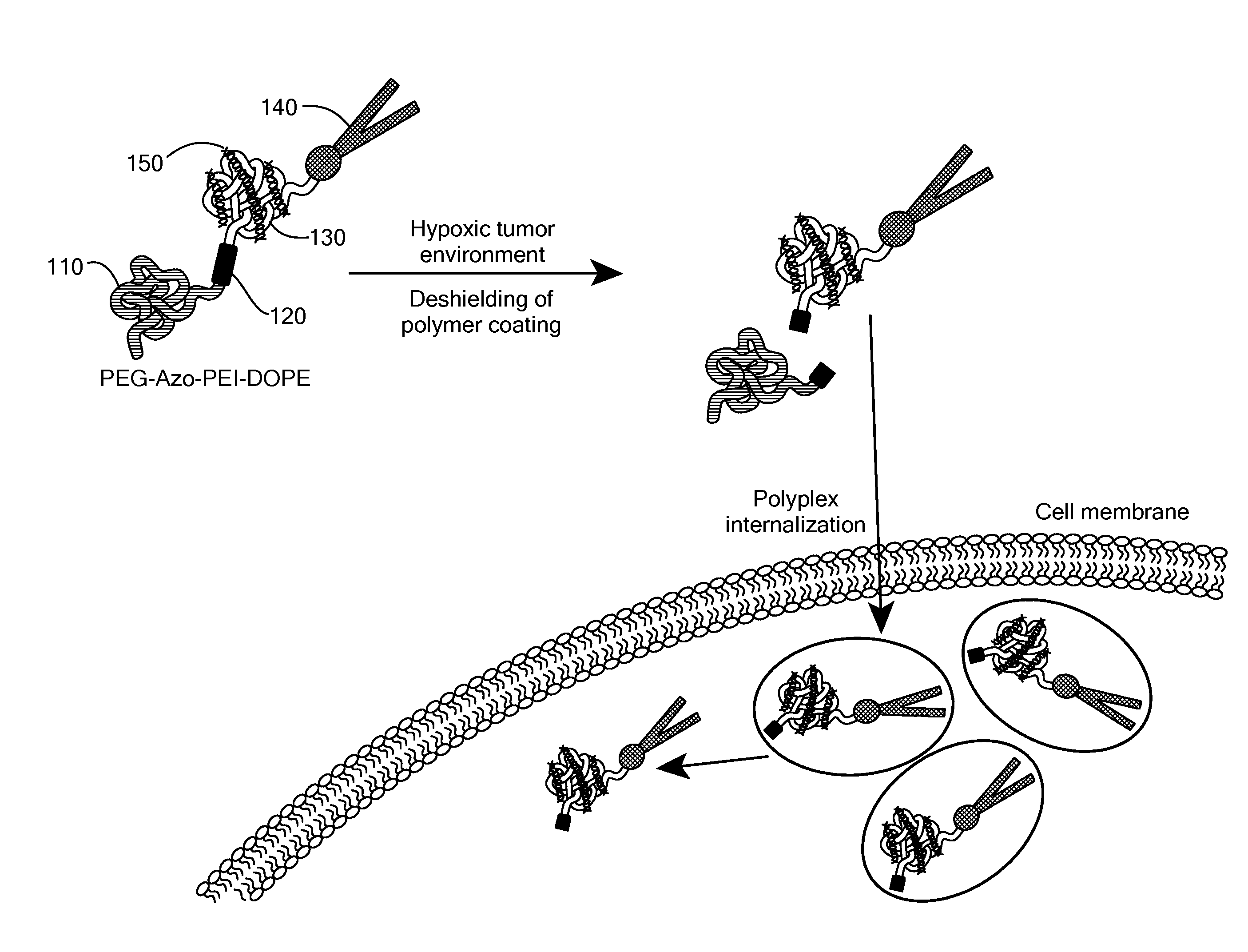 Hypoxia-Targeted Delivery System for Pharmaceutical Agents