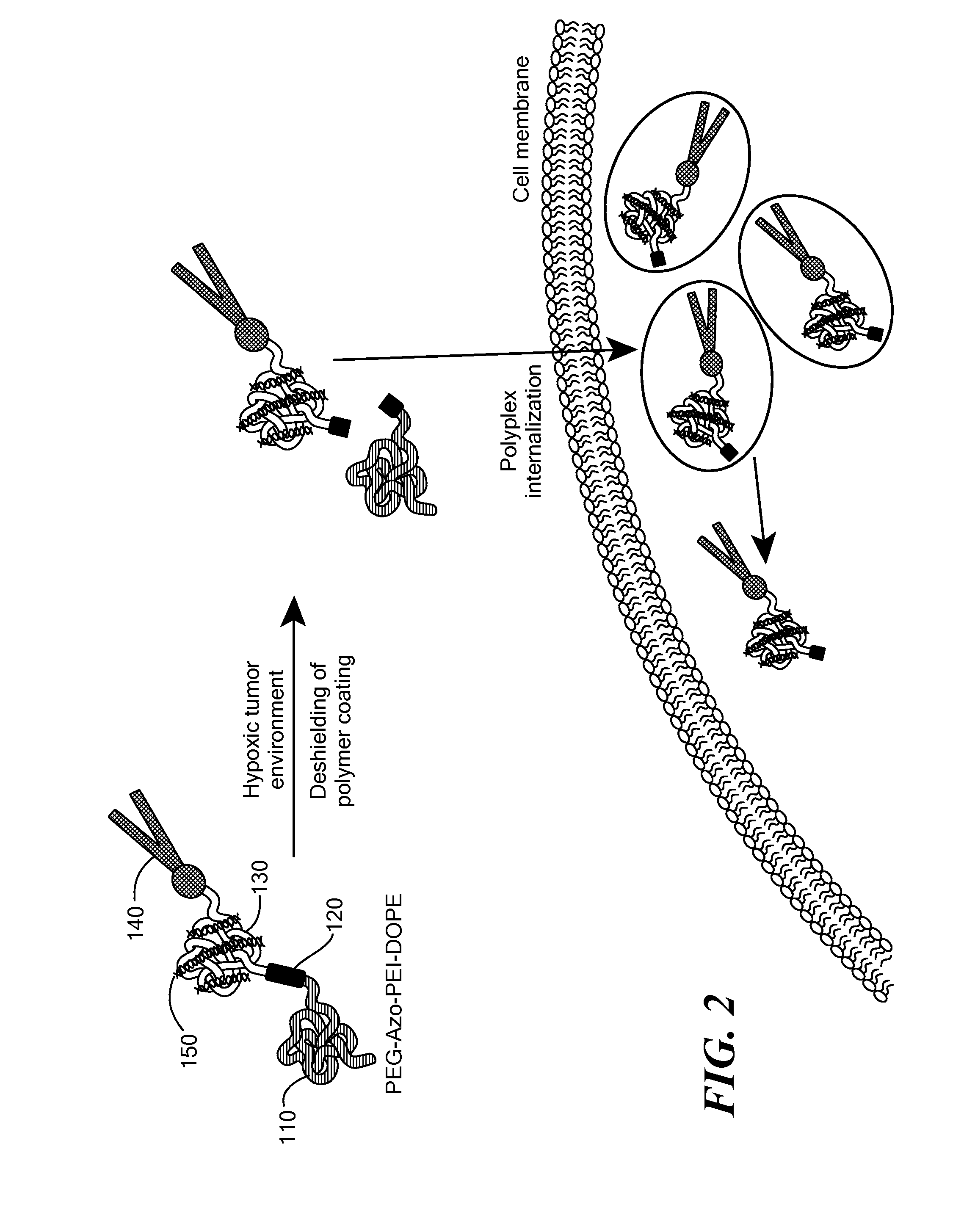 Hypoxia-Targeted Delivery System for Pharmaceutical Agents